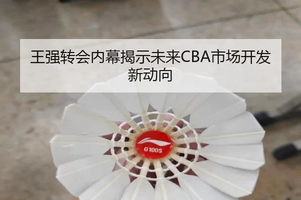王强转会内幕揭示未来CBA市场开发新动向
